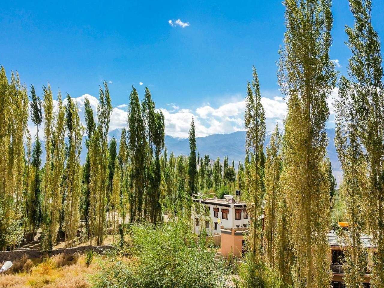 Hotel City Palace Leh Exterior foto