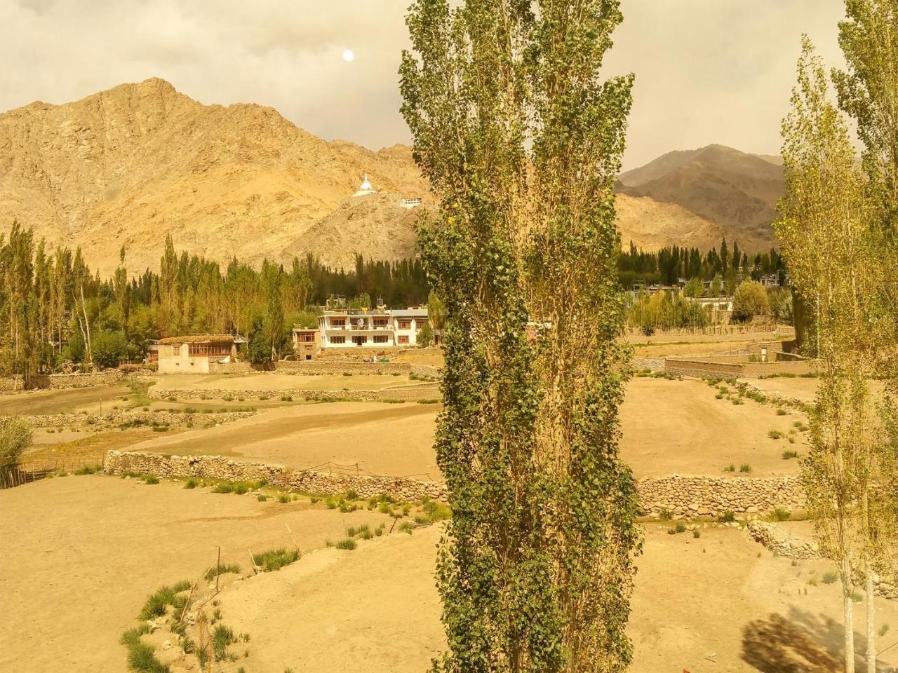 Hotel City Palace Leh Exterior foto